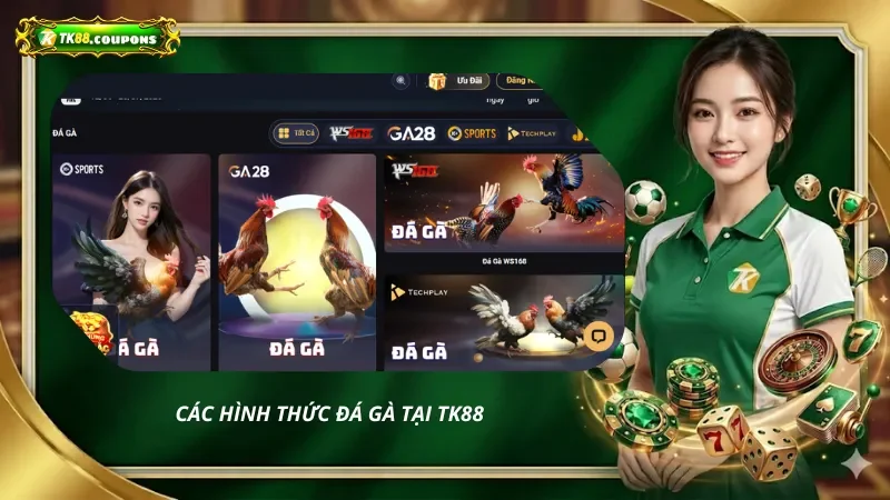 Các hình thức đá gà tại TK88