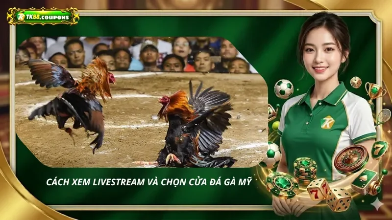 Cách Xem Livestream Và Chọn Cửa Đá Gà Mỹ