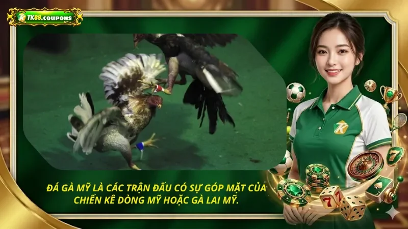 Đá gà Mỹ là các trận đấu có sự góp mặt của chiến kê dòng Mỹ hoặc gà lai Mỹ.