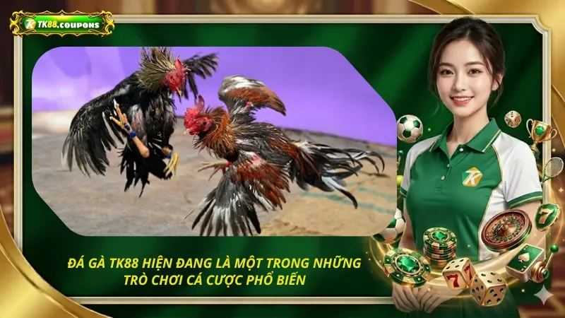 đá gà hiện đang là một trong những trò chơi cá cược phổ biến