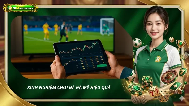 Kinh Nghiệm Chơi Đá Gà Mỹ Hiệu Quả