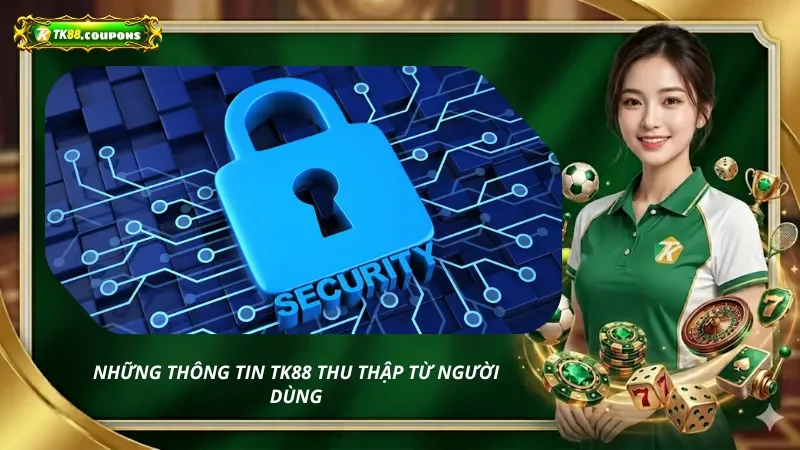 Những thông tin TK88 thu thập từ người dùng